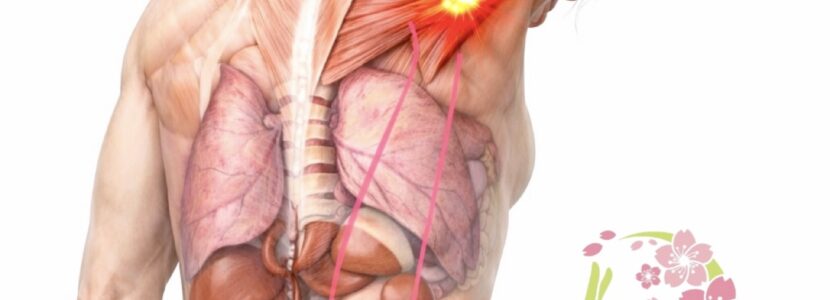 奈良市さくら整体院 肩こり