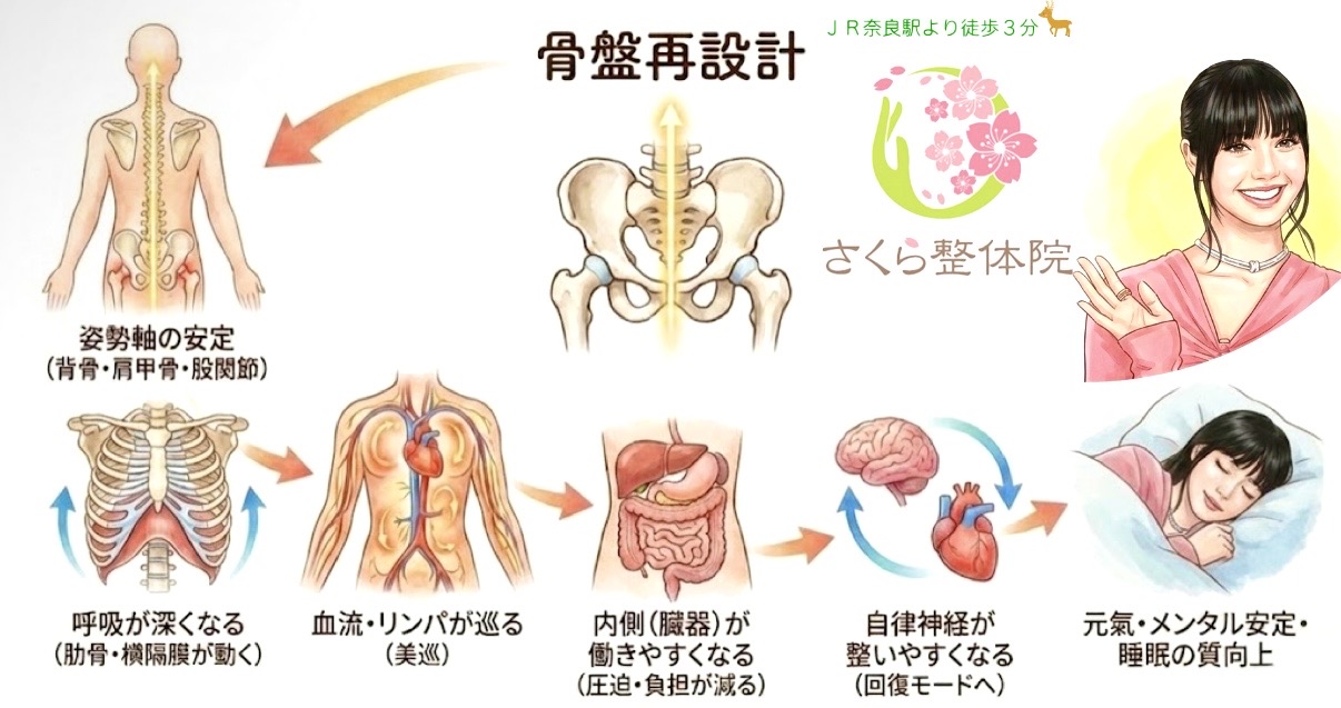 奈良市骨盤さくら整体院