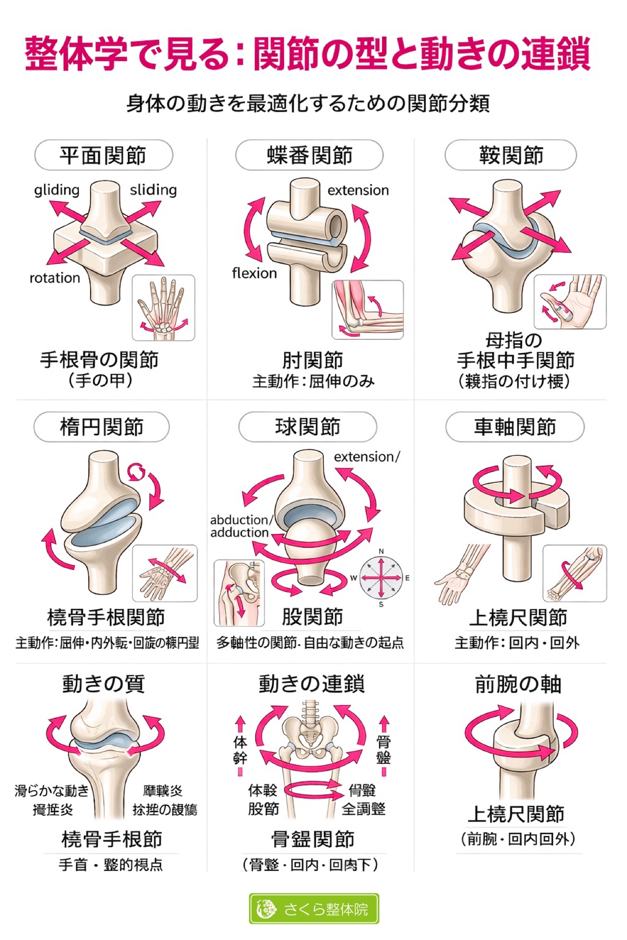 奈良市 さくら整体院 関節の動き