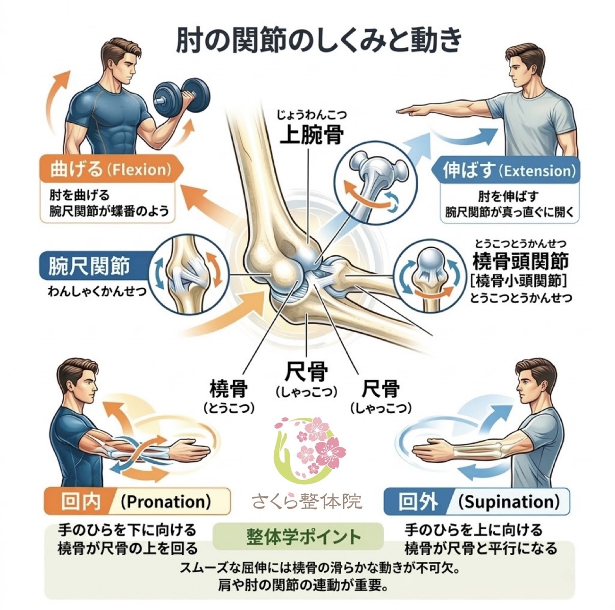 奈良市 さくら整体院 関節