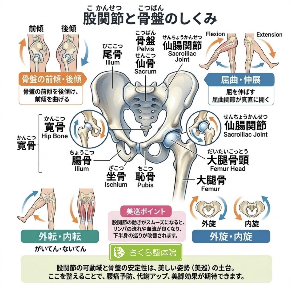 奈良市 さくら整体院 股関節