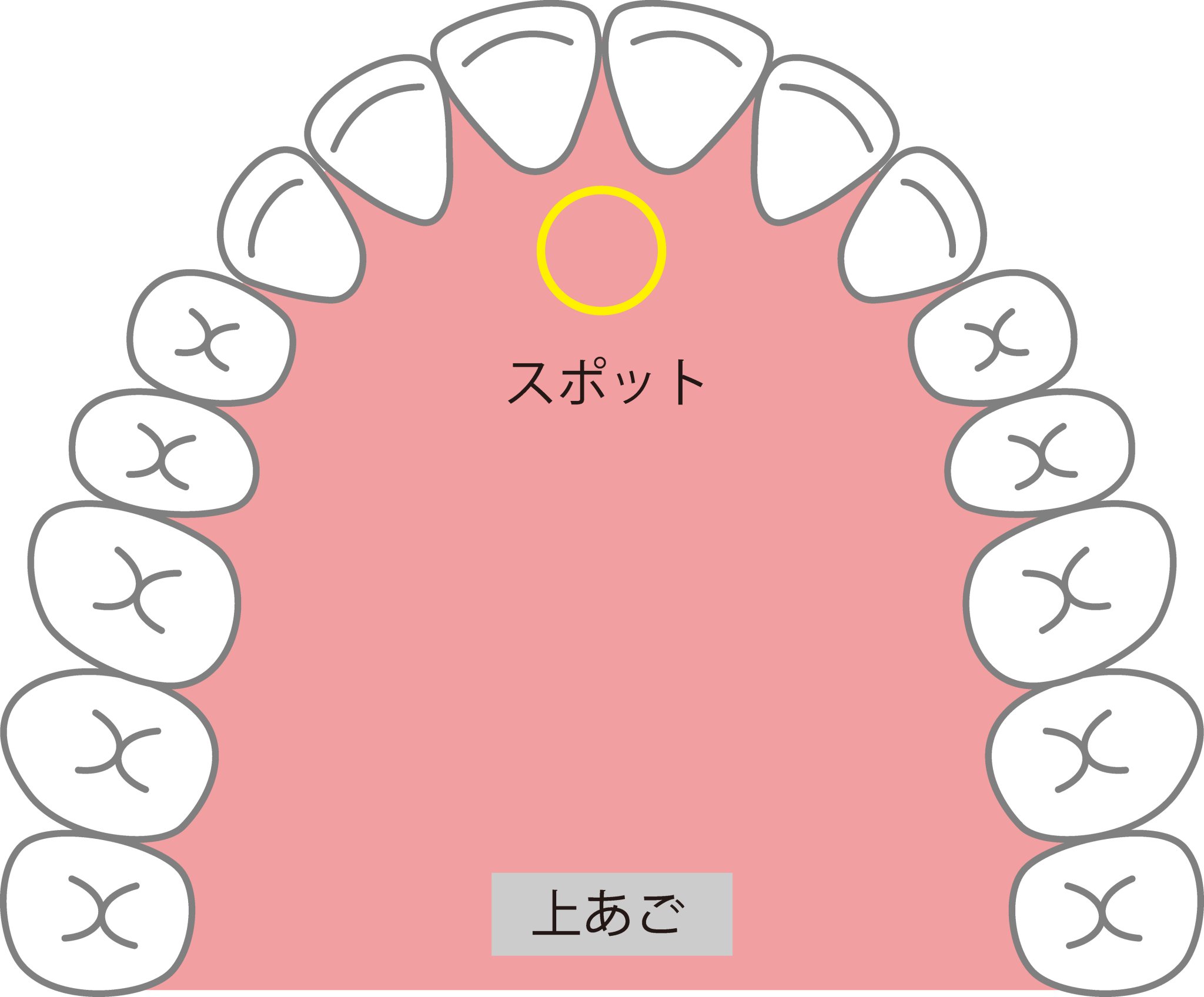 舌の位置と姿勢バランスの関係イメージ