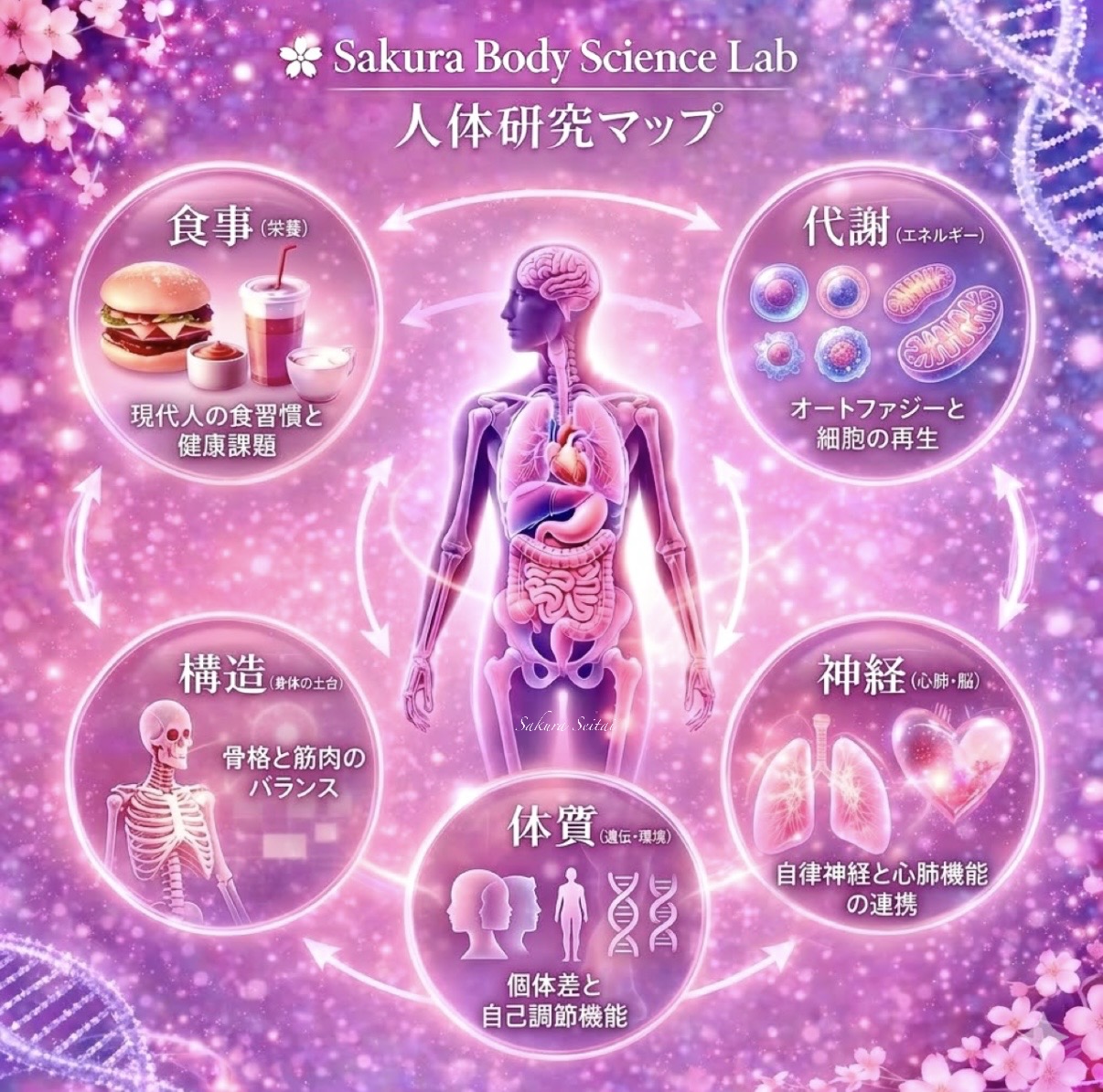 Sakura Body Science Lab｜テンセグリティと免震構造