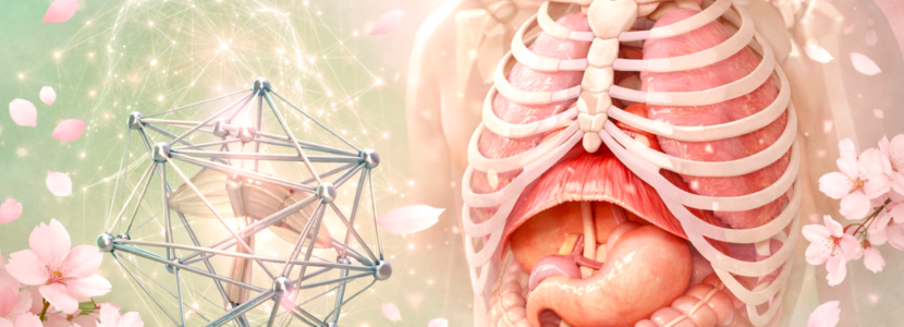 横隔膜テンセグリティ