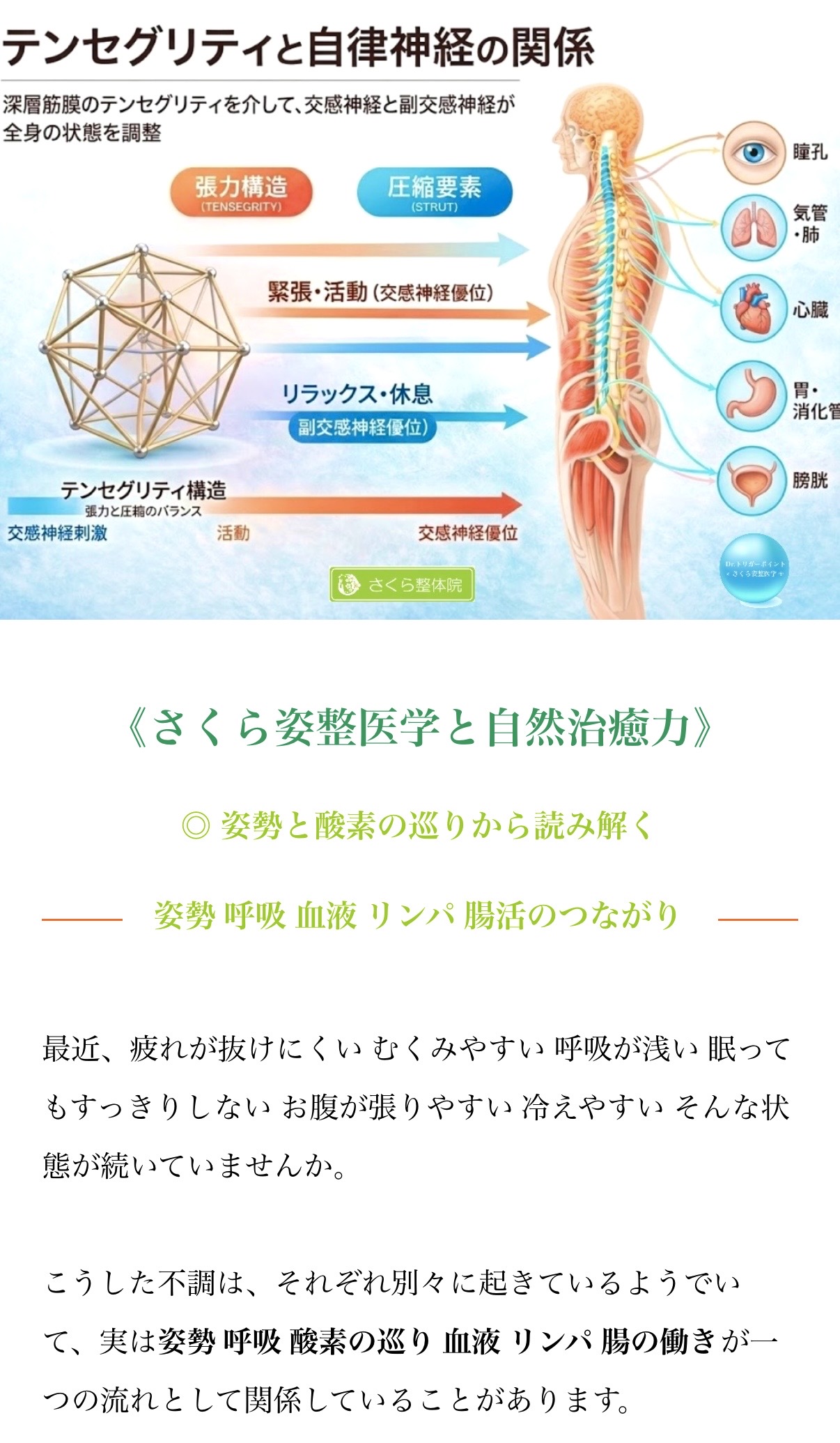 さくら姿整医学®︎
