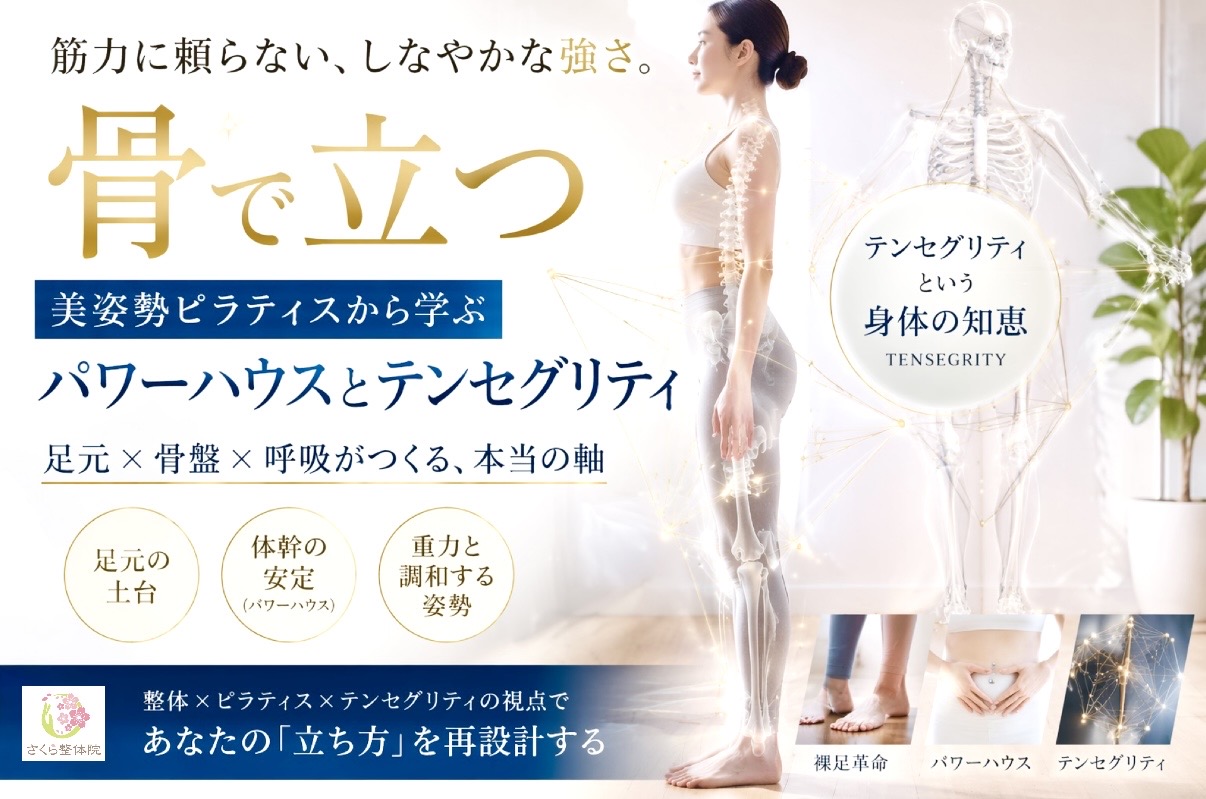 美姿勢ピラティス｜JR奈良駅 さくら整体院