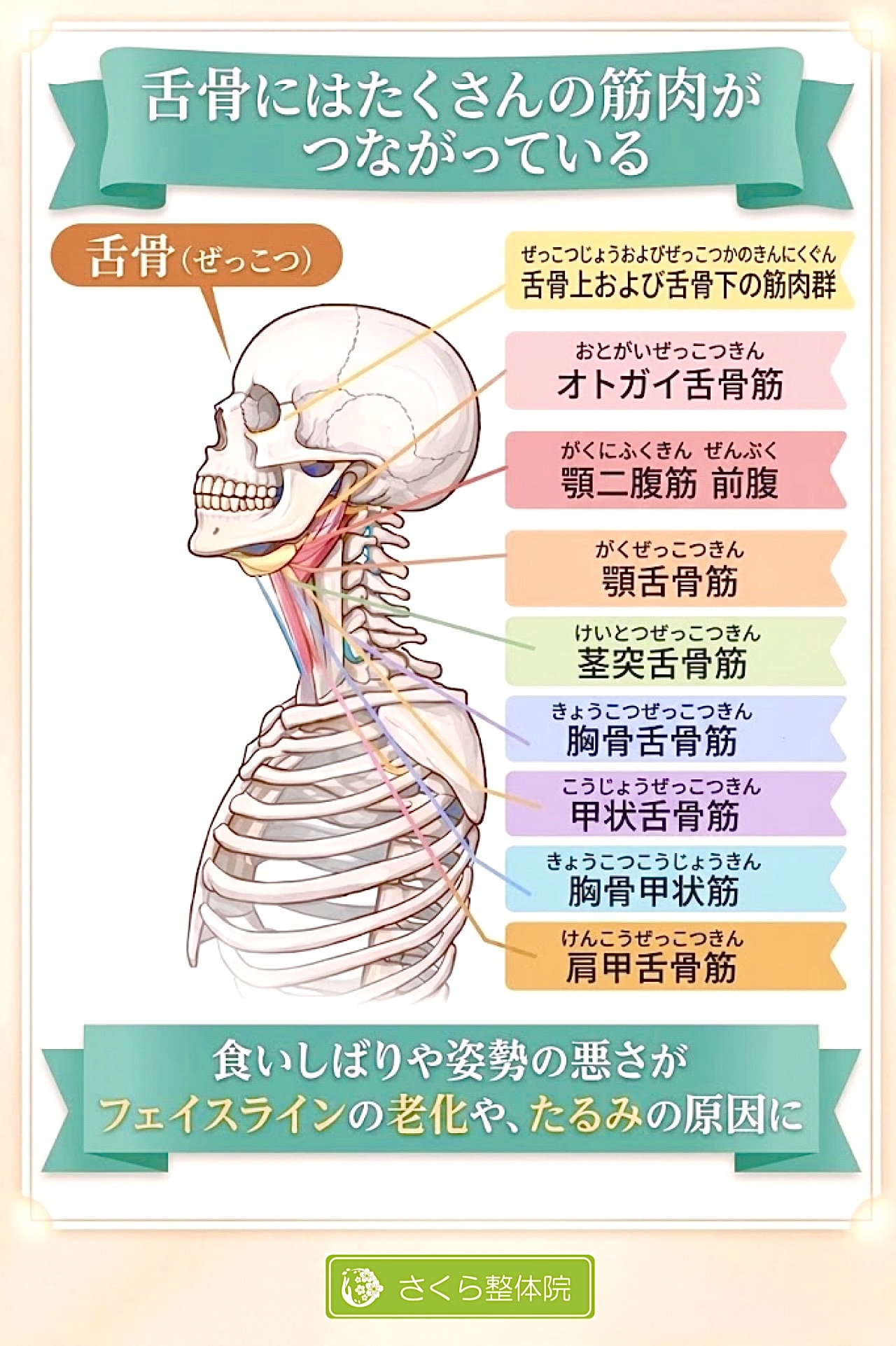 食いしばり整体 » 奈良市の整体 さくら整体院 食いしばり整体