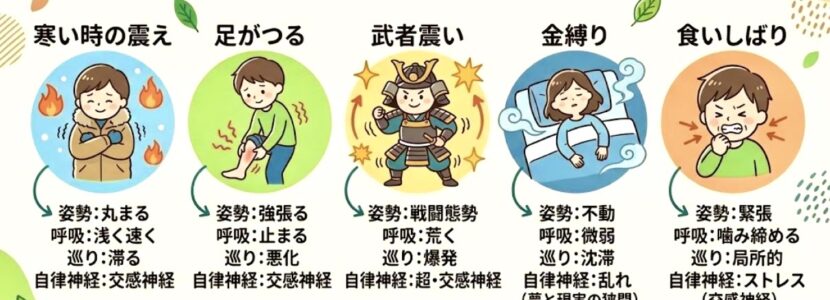寒い時の震え・足がつる・武者震い・金縛り・食いしばりの違い