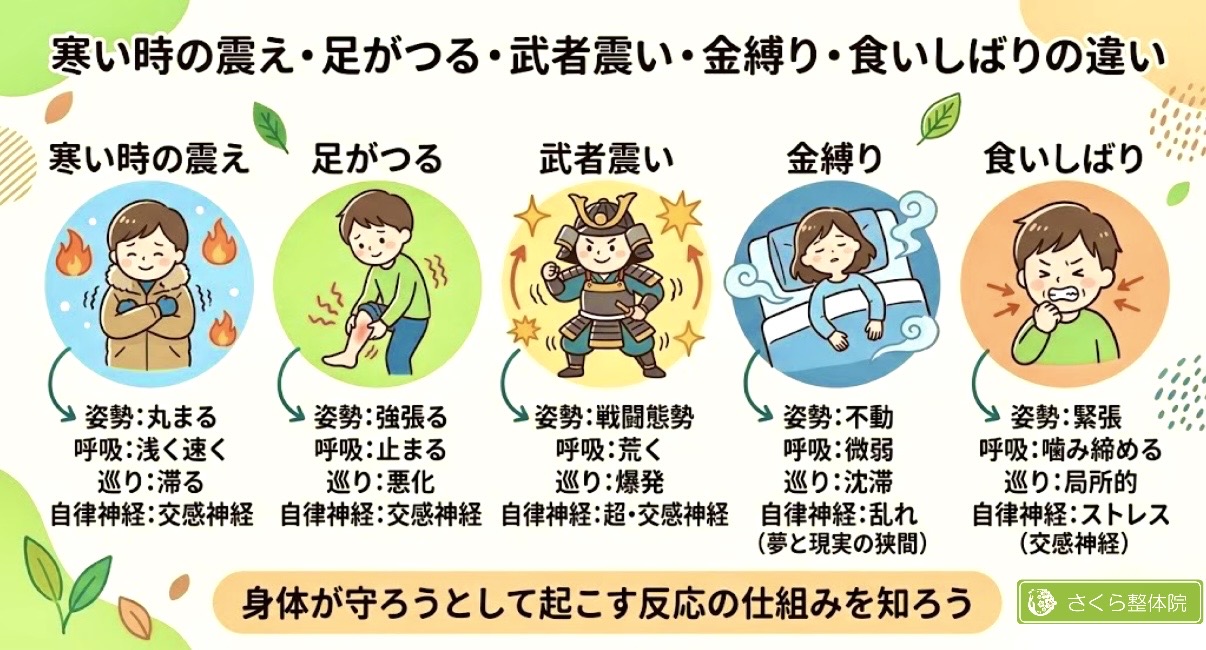 寒い時の震え・足がつる・武者震い・金縛り・食いしばりの違い