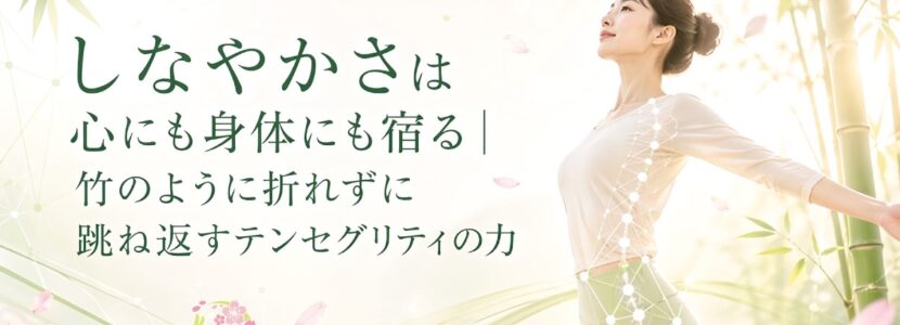 整体テンセグリティ