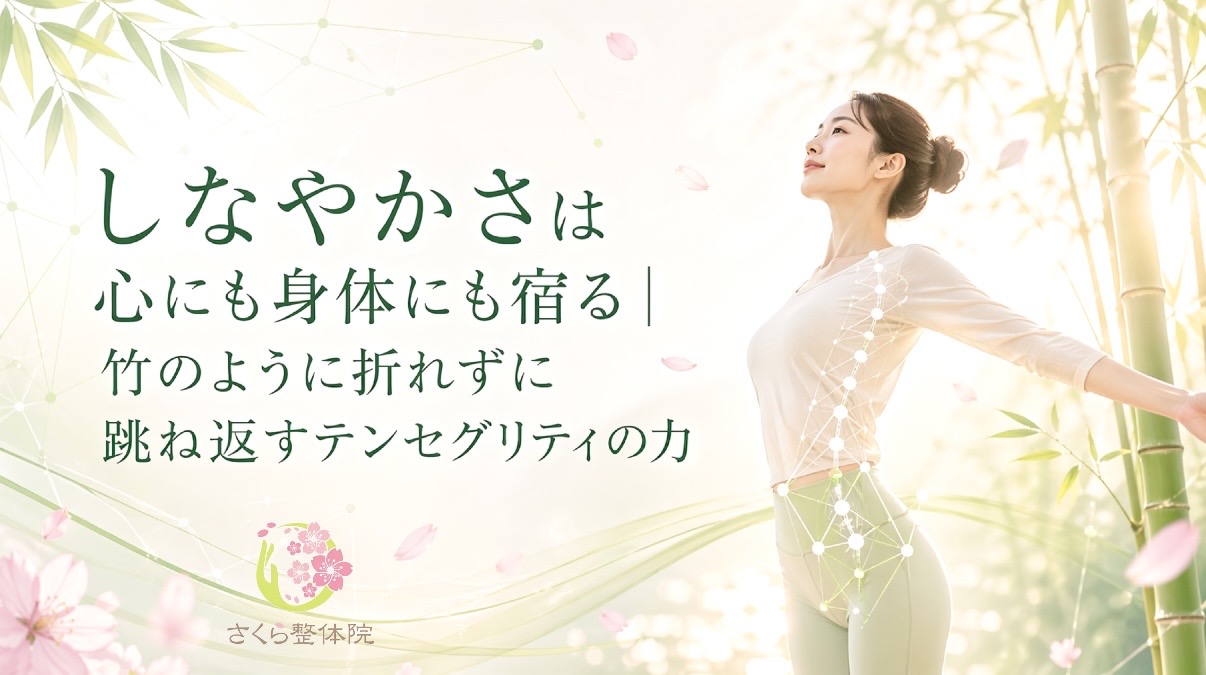 整体テンセグリティ