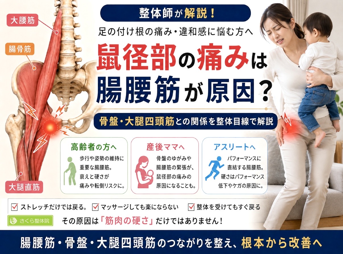 奈良市で鼠径部の痛み・足の付け根痛にお悩みの方へ｜腸腰筋と骨盤整体