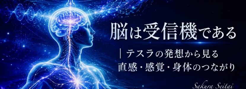 奈良市テスラ充電