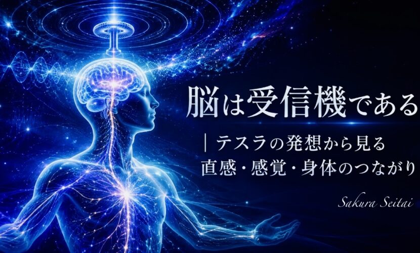 奈良市テスラ充電