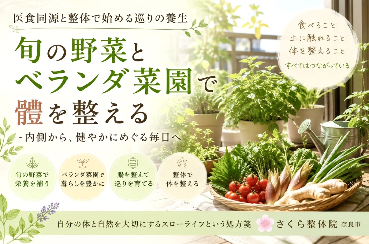旬の野菜とベランダ菜園で体を整える、家庭菜園の新鮮な野菜が並ぶ横長の広告バナー。