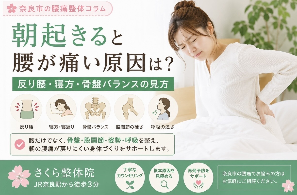 整体腰痛奈良市