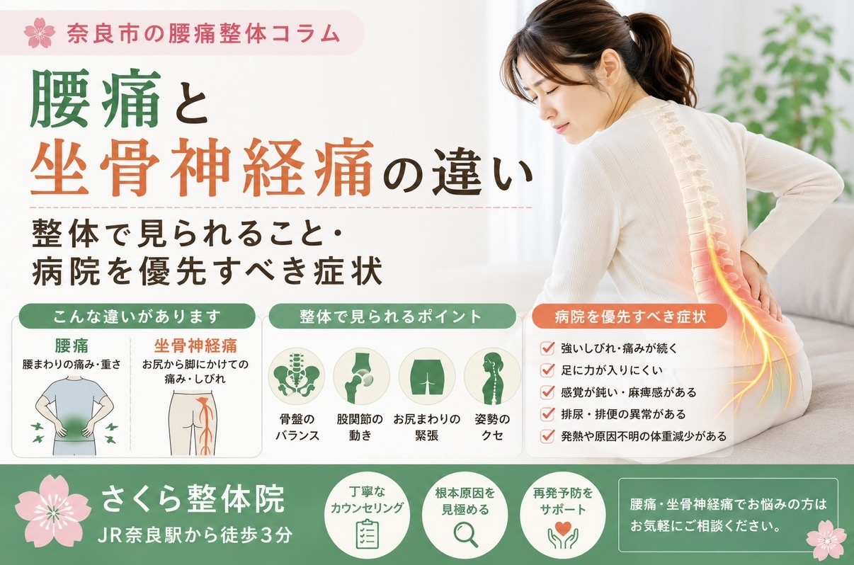 整体腰痛奈良市 » 奈良市の整体 さくら整体院 腰痛と坐骨神経痛の違いを解説する日本語のチラシ、背痛の女性と背骨のイラスト入り。要点と比較表を含む。